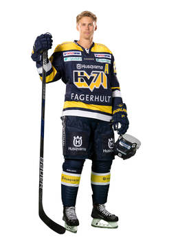 s David Ullström