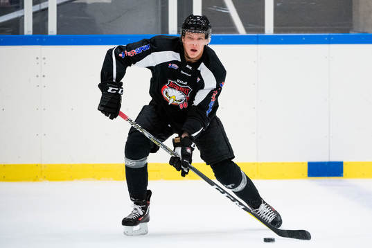 Carl-Johan Lerby