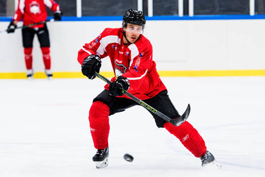 Andy Miele