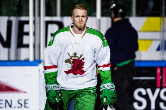 Ted Brithén