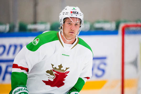 Rögles Linus Sandin