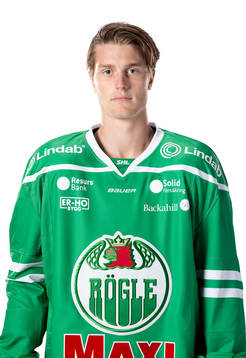 Rögles Johan Zarwel