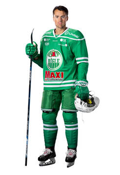 Bläddra bland fler bilder av Ishockey, SHL, Porträtt, Rögle