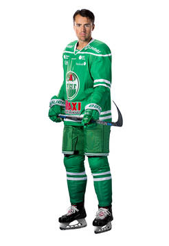 Rögles Alen Bibic