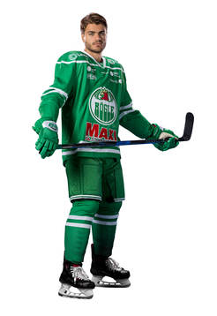 Rögles Almen Bibic