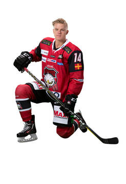 Malmö Redhawks Carl-Johan Lerby