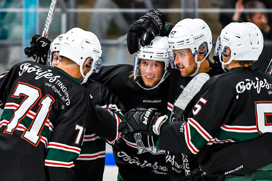 Tingsryds spelare jublar