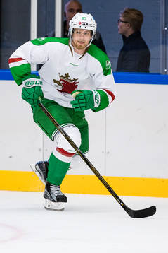Rögles Ted Brithén