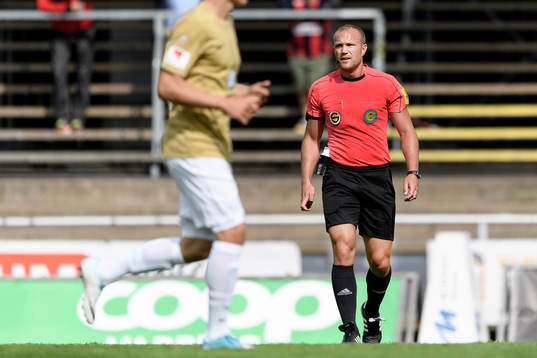 Domare Patrik Eriksson