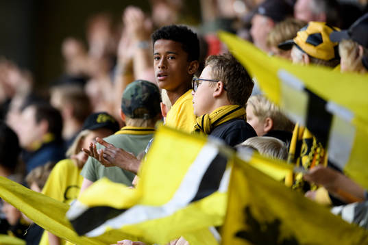 Ung Elfsborgs supporter