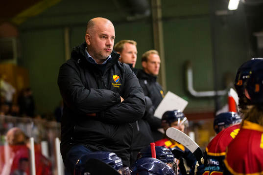Djurgårdens assisterande tränare Stefan Nyman