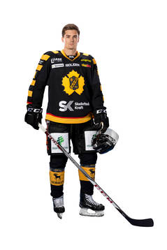 Skellefteås Henrik Hetta