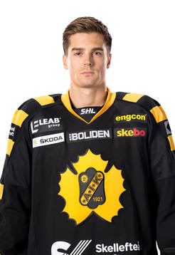 Skellefteås Henrik Hetta