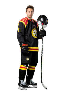 Brynäs Aaron Palushaj