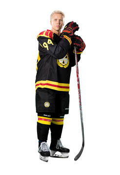 Brynäs Henrik Larsson