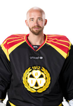Brynäs David Rautio