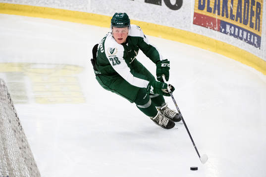 Färjestads Fabian Zetterlund