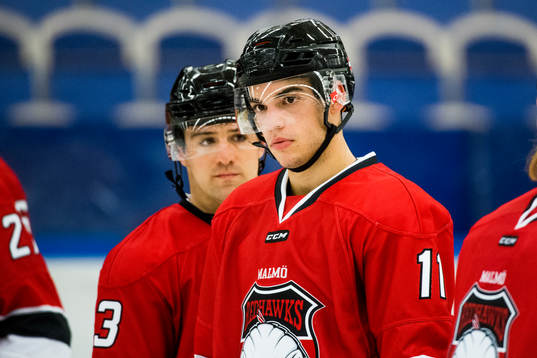 Malmö Redhawks Lukas Haudum