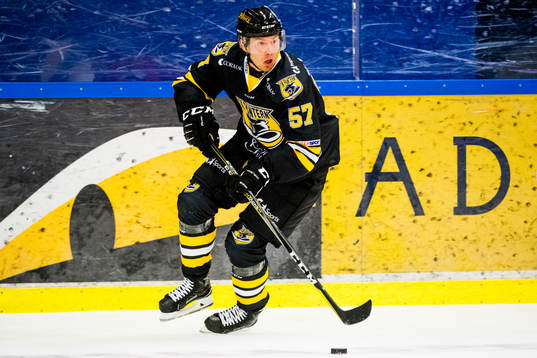 Panterns Johan Ivarssonunder ishockeymatchen mellan Pantern