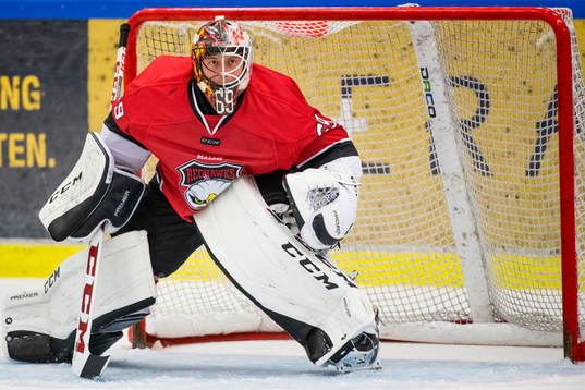 Malmö Redhawks målvakt Oscar Alsenfelt