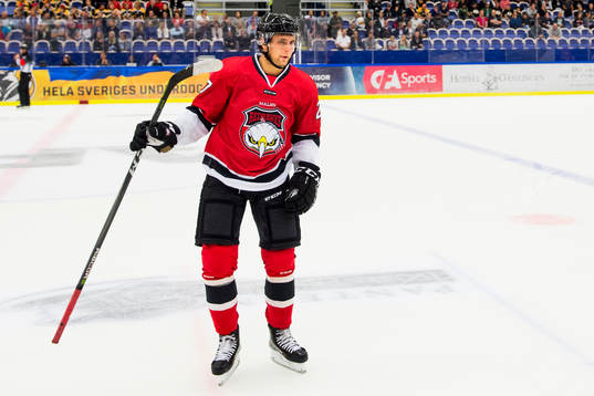 Malmö Redhawks Daniel Zaar