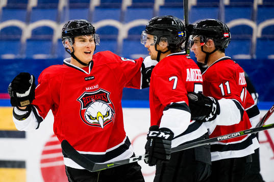 Malmö Redhawks Fredrik Händemark och Malmö Redhawks