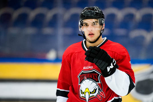 Malmö Redhawks Lukas Haudum