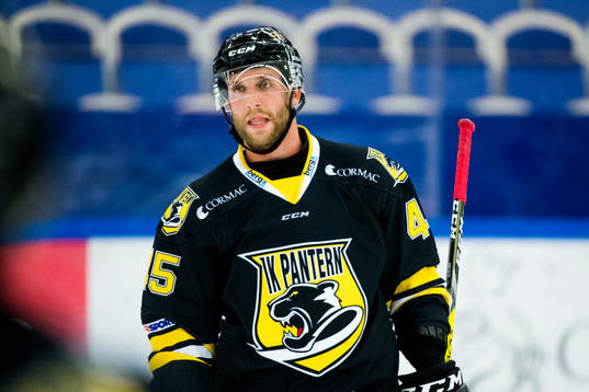Panterns Sebastian Dyk