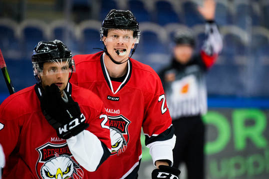 Malmö Redhawks Lars Bryggman