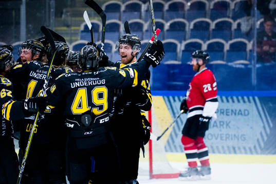 Panterns spelare jublar