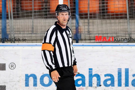 Domare Mikael Nord