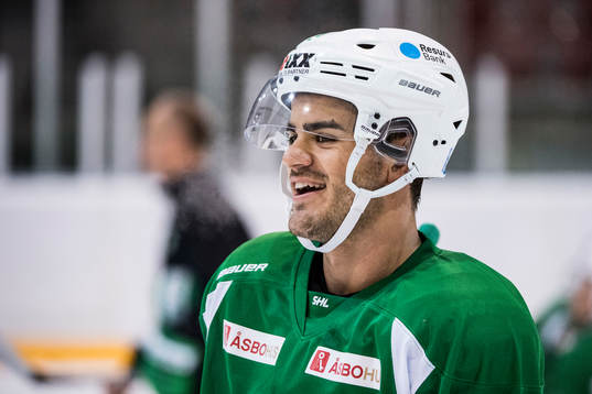 Rögles Almen Bibic