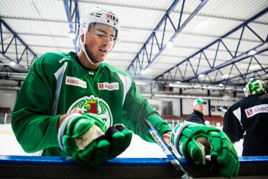 Rögles Alen Bibic