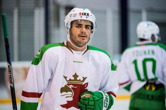Rögles Almen Bibic
