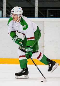 Rögles Bryan Lerg