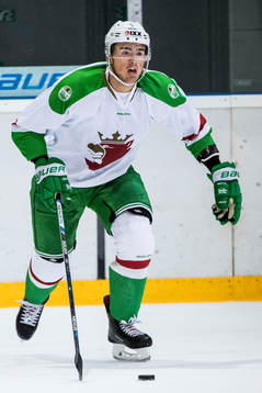 Rögles Alen Bibic