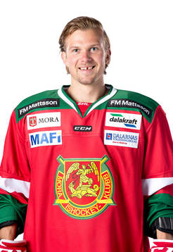 Moras Vikktor Amner