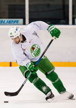Rögles Sebastian Collberg