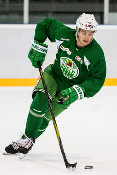 Rögles Johan Zarwel