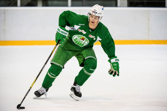 Rögles Johan Zarwel