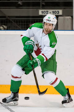Rögles Ted Brithén