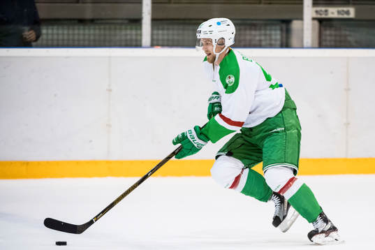 Rögles Ted Brithén