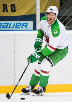 Rögles Alen Bibic