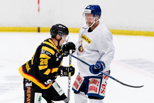Skellefteås Matt Anderson