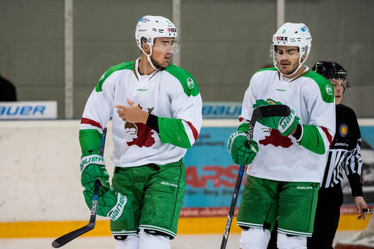 Rögles Alen Bibic och Almen Bibic