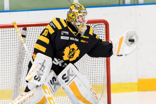 Skellefteås målvakt Gustaf Lindvall före en