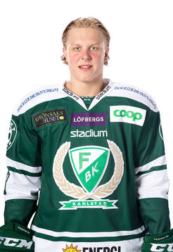 Bläddra bland fler bilder av Ishockey, SHL, Porträtt, Färjestad