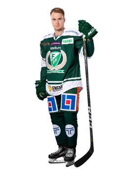 Färjestads Michael Lindqvist