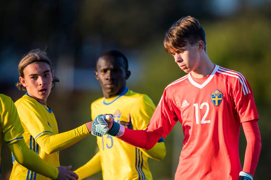 Sveriges målvakt Hugo Claesson