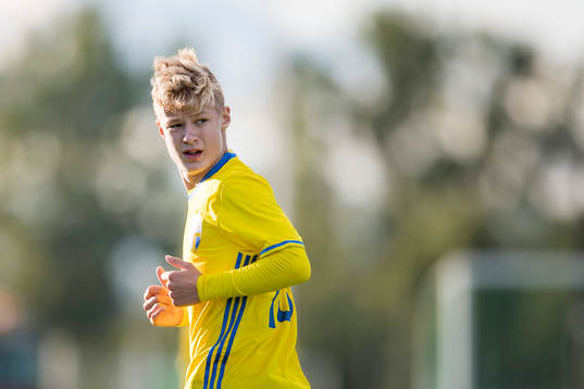 Sveriges Otto Vallentin